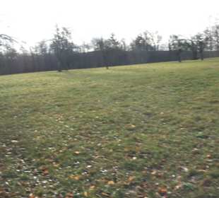 Burg Hofen Grabenstetten