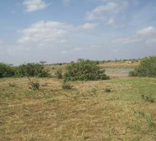 Tsavo Ost