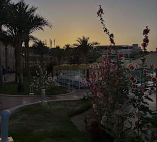 Außenansicht Pickalbatros Palace Resort