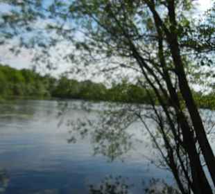 Naturschutzgebiet Boberger Niederung