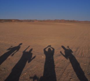 Desert Sunset