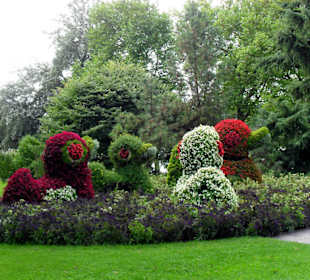 Blühender Ententeich