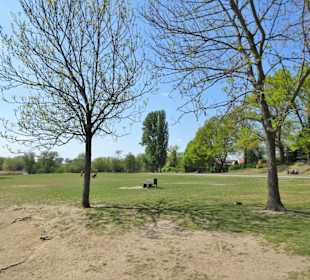 Liegewiesen am Ölpersee