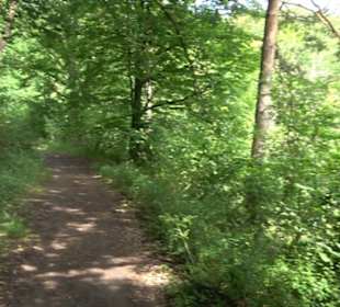 Schutzgebiet Spitzberg, Pfaffenberg