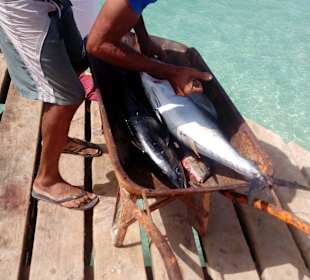 Fischersteg in Santa Maria