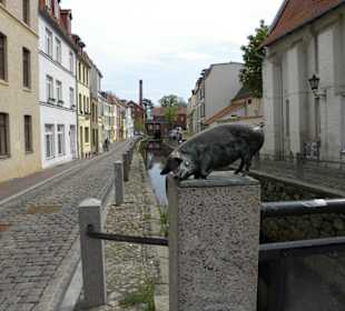 Straßenzug Frische Grube Wismar