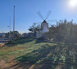 Strandpromenade San Antonio/San Antoni de Portmany