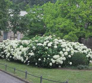 Altstadt Baden-Baden