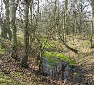 Wunderschöne Boberger Niederung