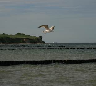 Blick auf die Steilküste von Boltenhagen