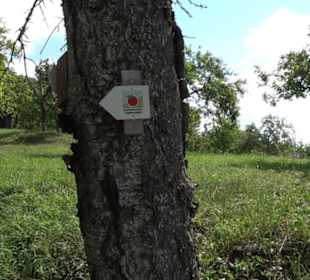 Wanderweg Ammerbucher Gigeleswegle