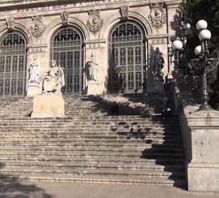Museum Artes del Libro