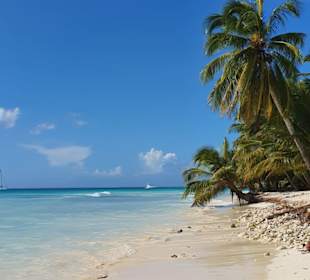 Isla Saona