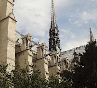 Der Notre Dame in Paris