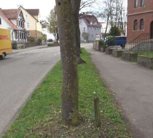 Pfarrkirche St. Ulrich