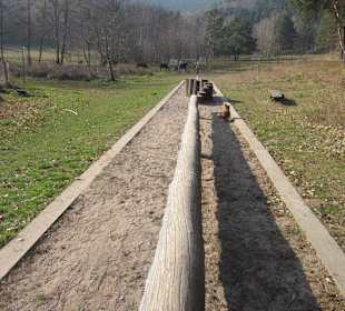 Der wunderschöne Sandwiesenweiher