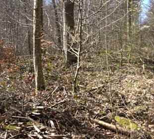 Historischer Rundwanderweg Aichtal