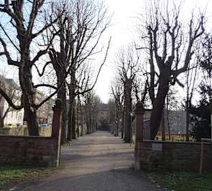 Schlossgarten bei der Karlsburg/ beim Schloss