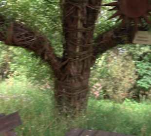 ALB-GOLD Naturgarten