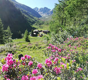 Wandern St. Jakob im Defereggental
