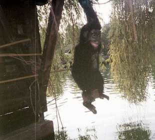 Ansichten aus dem Europapark in Rust