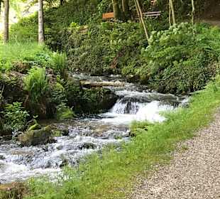 Wandern Wolfach