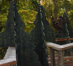 Auf dem Baumwipfelpfad