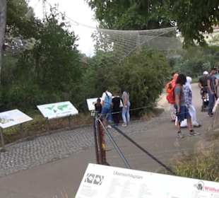 Vogelfreifluggelände