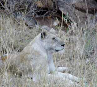 Sie war mit ihrer Schwester und deren Freund da