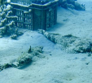 Schnorcheln Makadi Bay