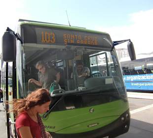 Schnellbus 103 zum Loro Parque