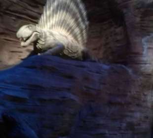 Gondwana - Das Praehistorium