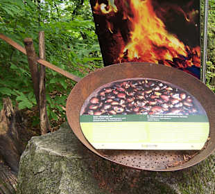 Zubereitung der Kastanien