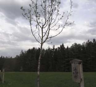 Wanderweg Firstwaldrunde