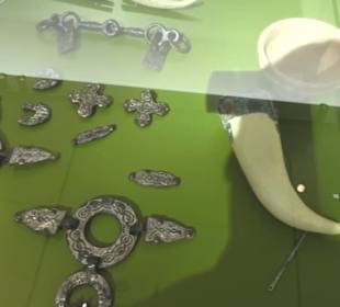 Rheinisches Landesmuseum