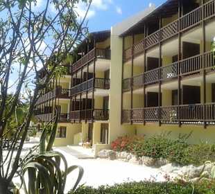 Unser Hotel-lions dive