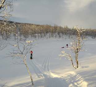 Auf dem Vindelälven (Fluss)