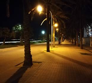 Strandpromenade Playa/Platja de Palma