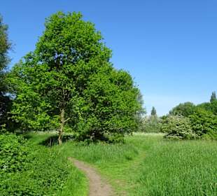 Spaziergang am südlichen Ufer des Sees
