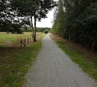 Ruhige Spazier und Radfahrwege