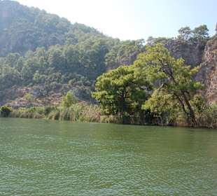 Dalyan