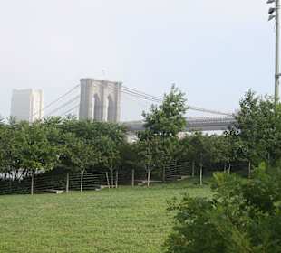 Brooklyn Bridge Park