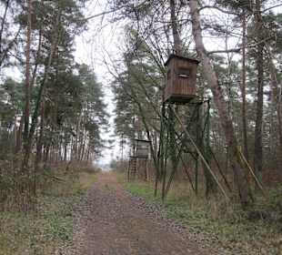 Partie an der Queich