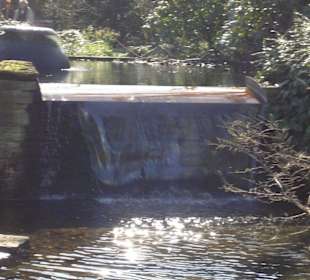 Wasserfall im Japanischen Garten