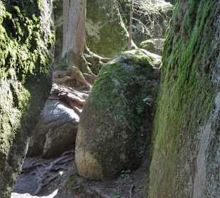 Rundgang durch das Felsenlabyrinth Luisenburg