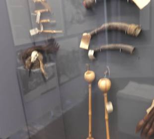 Museum für Völkerkunde