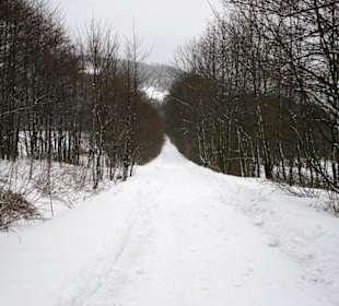 Auf dem Weg zwischen Dolni Svetla und der Wache