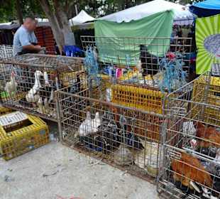 Rundgang über den Marché forain du Front de Mer
