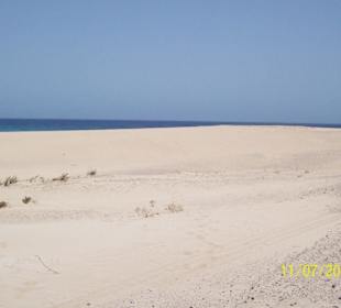 Dünen bei Corralejo