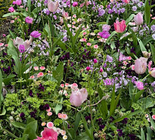 Blumeninsel Mainau